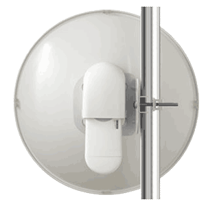 Cambium