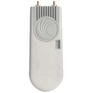 Cambium