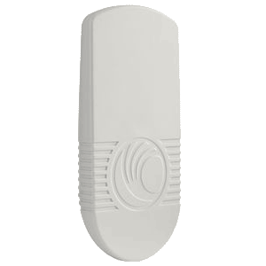 Cambium